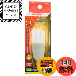 �y���������zLED�d�� T�` E17 60�`���� �d���F LDT6L-G-E17 IG92 06-3739 OHM �I�[���d�@