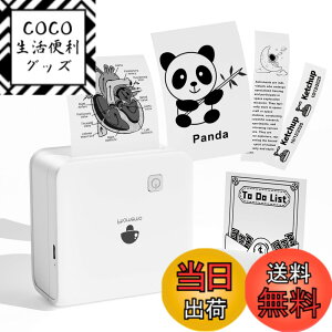 �y���������z�T�[�}���v�����^�[ 300dpi Phomemo M02 Pro �~�j�v�����^�[ �X�}�z�Ή����o�C�� �|�[�^�u���� �~�j�t�H�g����@ �����Ղ�񂽁[ �X�e�b�J�[ ��� �|�P�b�g�Ղ�񂽁[ ���M ���� �ʐ^