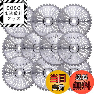 �y���������zSHUZIYU �����@�p�`�b�v�\�[ 230x36P 10���g