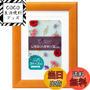 �y���������z�n�N�o HAKUBA �t�H�g�t���[�� �E�b�h�t���[�� �p���b�e L�^�n�K�L(KG)�^2L 3�T�C�Y�Ή� �I�����W FWPLT-OR
