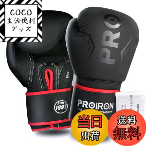 �y���������zPROIRON �{�N�V���O�O���[�u 10oz �{�N�V���O�p�O���[�u �p���`���O�O���[�u ���� �ϋv�������� ���K boxing gloves �����e�i���X�o�b�O�t�� 1�N�Ԃ�