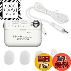 �y���������zZOOM �Y�[�� �����^ �t�B�[���h���R�[�_�[ F2-BT/W 32bit�t���[�g�^���Ή� Bluetooth �����[�g����@�\ ���x���A�}�C�N�t�� �ߕ���@�ނɑ����\ 14���ԋ쓮 �u���C�_�� �C���^�r���[ 