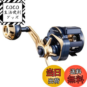 �y���������z�_�C��(DAIWA) 21 �\���e�B�KIC 100