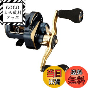 �y���������z�_�C��(DAIWA) 21 �\���e�B�KIC 100PL-DH