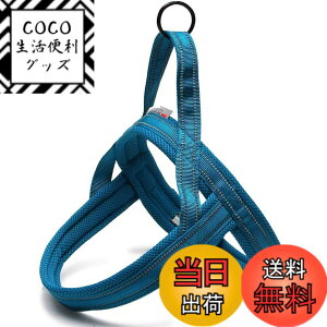 �y���������zcocomall �A�ɗD�������p�n�[�l�X ���p���� TRUE LOVE���{�����X �h�b�O �y�b�g�p�i ���o�����n�[�l�X 3M���ˍޗ� �P���p �i�C������ ���^���A���^���A��^���Ɍ��� �ʋC�� ���߉\