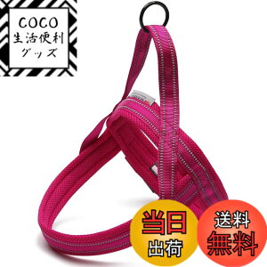 �y���������zcocomall �A�ɗD�������p�n�[�l�X ���p���� TRUE LOVE���{�����X �h�b�O �y�b�g�p�i ���o�����n�[�l�X 3M���ˍޗ� �P���p �i�C������ ���^���A���^���A��^���Ɍ��� �ʋC�� ���߉\