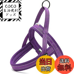 �y���������zcocomall �A�ɗD�������p�n�[�l�X ���p���� TRUE LOVE���{�����X �h�b�O �y�b�g�p�i ���o�����n�[�l�X 3M���ˍޗ� �P���p �i�C������ ���^���A���^���A��^���Ɍ��� �ʋC�� ���߉\