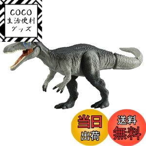 ���i�摜