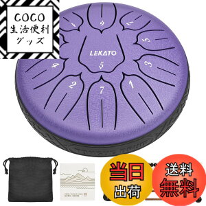 �y���������z�X���b�g�h���� �X�`�[���^���O�h���� LEKATO �����h���� 11�� 6�C���` �Ŋy�� �}���b�g ���[�o�b�O�t�� �ґz ���K �T (�p�[�v��)