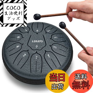 �y���������z�X���b�g�h���� �X�`�[���^���O�h���� LEKATO �����h���� 11�� 6�C���` �Ŋy�� �}���b�g ���[�o�b�O�t�� �ґz ���K �T (�l�C�r�[�u���[)