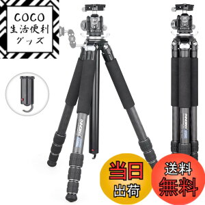 �y���������zINNOREL �J�����p �J�[�{�� �O�r N36���R�_�� �L�b�g�Z���^�[�|�[���t�� 20KG�ω׏d 10-168CM���� 28/25/22/19CM�p�C�v�a �g���x�� �^���� �iGT284C+N36)�j