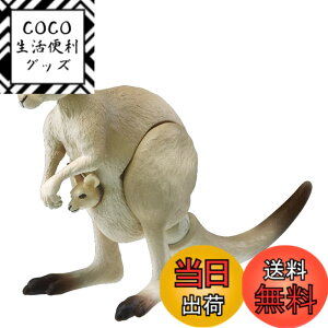 ���i�摜