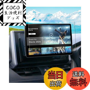 �y���������zruiya �����K���X 2024�V�^ �p�i�\�j�b�N �X�g���[�_ 10�C���` CN-F1X10C1D �t�B���� �ی�t�B���� �i�r�t�B���� ��p �X�g���[�_ �i�r �t�B���� 10�C���` �i�r �ی�t�B���� 9H �J�X�^