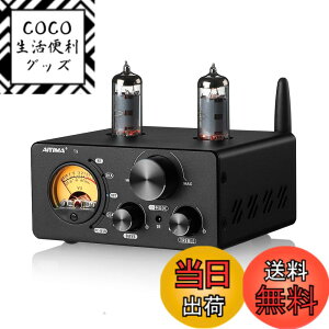 �y���������zAIYIMA T9 Bluetooth 5.0 100W*2�`���[�u�A���v 2.0�`�����l�� �^��� USB DAC�X�e���IHiFi�z�[���I�[�f�B�I�f�W�^���A���v RCA/COA/Opt/PC-USB�AVU���[�^�t��
