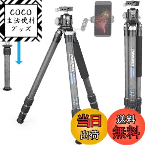 �y���������zINNOREL �J���� �O�r �J�[�{�� ��჌�t�O�r N36 ���R�_��t�� 20KG�ő�ω׏d 4�i�L�k 16-173CM��ƍ��� 29/25.6/22.2/18.8MM�p�C�v�a 360° �r�f�I�J���� �f�W�J�� DSLR DV�ʗp�R���p�N�g �O�r 