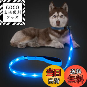 �y���������zCandofly ���ˌ^ LED ���p���[�h - �ÈłŌ��錢 ���C�g USB �[�d���Ɩ��t�����p���[�v�A4 �t�B�[�g�̑ϋv���̂���ϐ����_�Ō����[�h�A�y�b�g�̌��̖�̎U���p (��)