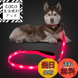 �y���������zCandofly ���ˌ^ LED ���p���[�h - �ÈłŌ��錢 ���C�g USB �[�d���Ɩ��t�����p���[�v�A4 �t�B�[�g�̑ϋv���̂���ϐ����_�Ō����[�h�A�y�b�g�̌��̖�̎U���p (�s���N)