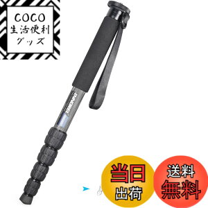 �y���������zINNOREL ��r �J�����p �J�[�{���� 22lbs/10kg�ω׏d 5�Z�N�V�����L�k�\ �R���p�N�g �֗� �y�� ���s�p�iRM285C�j