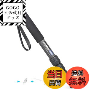 �y���������zINNOREL ��r �J�����p �J�[�{���� 26lb/12kg�ω׏d 5�Z�N�V�����L�k�\ �R���p�N�g �֗� �y�� ���s�p�iRM325C�j
