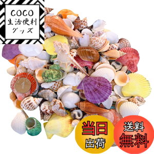 �y���������zsiawadeky �J���t�� �L�k 500g �A�\�[�g �Z�b�g �V�R�f�� �~�b�N�X �r�[�`�V�F�� ������/����/���A��/�h���t�g�{�g�� ���� �r�[�`���� DIY�p �ӏܗp �W���G���[ �A�N�Z�T���[�p�[�c 