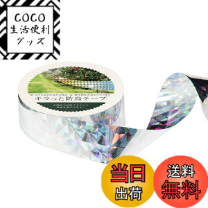 �y���������zOFFO ���悯 �L���L���e�[�v 100.6m ����25�����ʃX�Y���ǂ��̗��ʔ��˃z���O�����e�[�v ��2.4cm ���z�����������˂��邱�ƂŒ����������Ċ񂹕t���܂��� �����j���؂Ȃǂ𒹂�