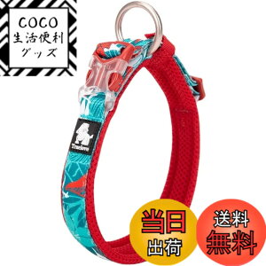 �y���������zcocomall���{�����X ����� ���̎�� �P���p ���^�A���^�A��^���p �y�b�g�p�i �i�C������ �ʋC�� �e�͐� �\�t�g���b�V�� �ȒP���� ������� ���߉\ (XXL, blue&red)