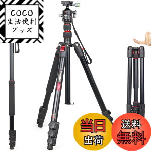 �y���������z��჌�t�O�r INNOREL �g���x���O�r ��r�ώ� �A���~�� 15KG�ω׏d 197CM�ő��ƍ��� 36MM��d�S�_��t�� �R���p�N�g�O�r �J�������~���[���X�p �y�� RT30+D36
