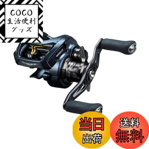 ダイワ スティーズ A II TW 1000XHL (リール) 価格比較 - 価格.com
