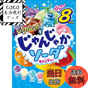 �y���������z���C�I���َq ����񂶂Ⴉ�\�[�_ 114gx6��