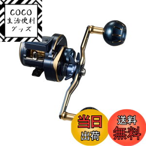 �y���������z�_�C��(DAIWA) �J�E���^�[�t�L�I�t�V���A�x�C�g���[�� �\���e�B�KIC 100HL-DH