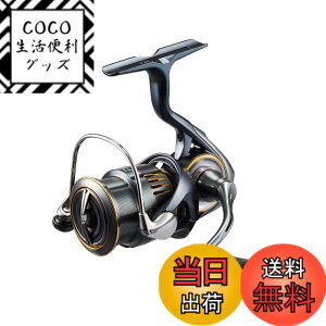 �y���������z�_�C��(DAIWA) �X�s�j���O���[�� 23AIRITY(�G�A���e�B) LT2500S-DH