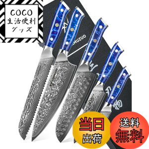 �y���������zSANMUZUO Chef Cooking Knives Set- Kitchen Knife Set of 5 Piece - Ultra-Sharp VG10 Damascus Steel & Resin Handle - Xuan Series (Sapphire Blue)