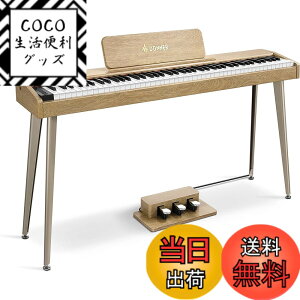 �y���������zDonner �d�q�s�A�m 88���� �ł񂵂҂��� �x���V�e�B�Z���V�e�B�u���� �^�b�` MIDI 3�{�y�_�� �X�^���h �A�_�v�^�[�t �����݂�������ؐ� ���S�� �R���p�N�g ���{������� �I�[�N�� 