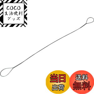 �y���������zTRUSCO(�g���X�R) �ʊ|�����C���[���[�v �i���� 9mmx1m TWD-9S1 x 5�{�y�P�[�X�̔��z