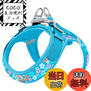 �y���������zcocomall �A�ɗD�������n�[�l�X 2023�ŐV TRUE LOVE���{�����X ���p�n�[�l�X ���p���� �h�b�O �y�b�g�p�i �n�[�l�X���[�h 3M���ˍޗ� �P�� �i�C������ ���^���A���^���A���^���Ɍ��� 