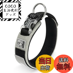 �y���������zcocomall���{�����X 2023�ŐV����� ���̎�� ���^�A���^�A��^���p �y�b�g�p�i 3M���ˍޗ� �i�C������ �ʋC�� �e�͐� �\�t�g ���߉\ ������� ���p�P�� (L, �O���[)