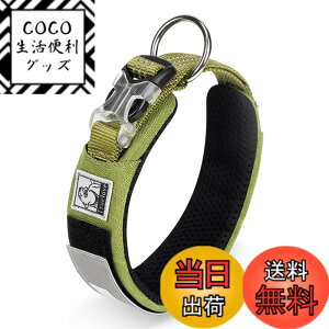 �y���������zcocomall���{�����X 2023�ŐV����� ���̎�� ���^�A���^�A��^���p �y�b�g�p�i 3M���ˍޗ� �i�C������ �ʋC�� �e�͐� �\�t�g ���߉\ ������� ���p�P��(M, �I���[�u�O���[��)