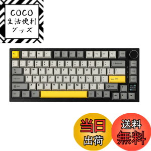 �y���������zEPOMAKER Ajazz AK820 Pro �Q�[�~���O�L�[�{�[�h 75% �K�X�P�b�g���� ���J�j�J���L�[�{�[�h TFT�X�N���[�� 3���[�h(Bluetooth 5.1/2.4G���C�����X&Type-C�L��) �����t�H�[������ (Grey, Ajazz Flying Fi