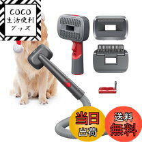 楽天市場】dyson v10 フロアドックセットの通販