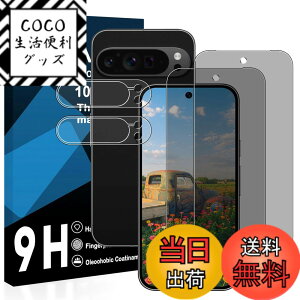 �y���������z�y2���`�����h�~�t�B+2�������Y�ی� �z�Ή� Google Pixel 9 pro �K���X�t�B���� �����猩���Ȃ� �O�[�O���s�N�Z��9 pro �t�B���� �`�����h�~�y ���{���Ɏq�� �����K���X �t�� �ی�t�B