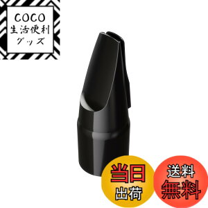 �y���������zRoland ���[�����h Aerophone��p�}�E�X�s�[�X �G�A���t�H�� OP-AE05MPH