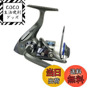 �y���������z���C�Y�E�F�C(Riseway) ���t���X�s�j���O���[�� STORM(�X�g�[��) �e�� �T�C�Y�F2000