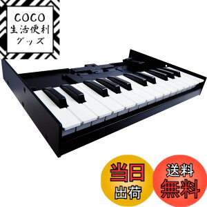 �y���������z���[�����h Keyboard Unit K-25M Roland Roland Boutique�V���[�Y��p �L�[�{�[�h �F�F�u���b�N