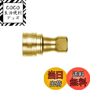 �y���������z�����H��(Nitto Kohki) SP-V�J�v��TypeA 2S-V-A BRASS CR