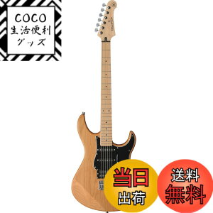 �y���������z���}�n YAMAHA �G���L�M�^�[ PACIFICA112VM �F�F�C�G���[�i�`�������T�e��(YNS)