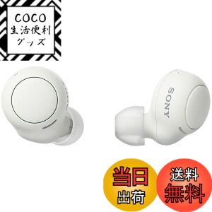 �y���������z�\�j�[(SONY) ���S���C�����X�C���z�� WF-C500/WF-C510 :/�����x�ʘb�i��/IPX4�h�H���\ �F�F�z���C�g�A�T�C�Y�F�����^
