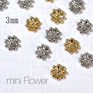 lCp[cy4z~jt[ ^p[c flower   ^p[c ؍lCnhCh sAX ڃWG[ fR Wޗ S[h@Vo[ lCANZg SA