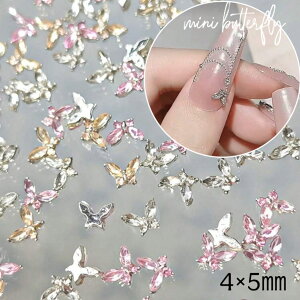 lCp[c y2z miniTCY lCp[c Butterfly o^tC X NX^  CXg[ NX^Xg[ rW[  EGfBO lC ZtlC fRp