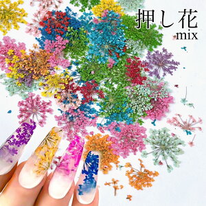 lC ԁy25`30z[X hCt[  VRf P[X ݑ Ԃт z  mixJ[ pXe ԑlC t[ ălC K[[lC tlC 