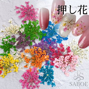 押し花 ネイル パーツの人気商品 通販 価格比較 価格 Com